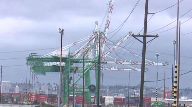 The Northwest Seaport Alliance reported a volume decline of just less than 1% for January. (Fox 13 Seattle via YouTube)